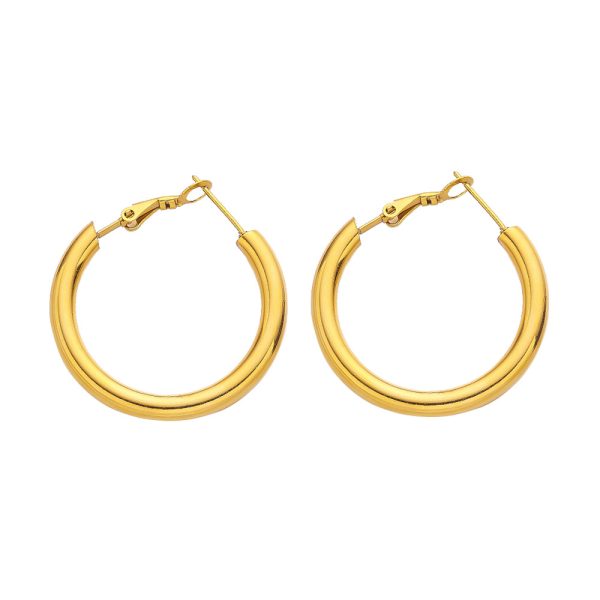 O1CN0107F8QC25wjTP1R0lW_3529117591-0-cib.jpg Stainless Steel Thin Hoop Earrings 775720246253