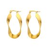 O1CN012Baelp25wjTKhKzND_3529117591-0-cib.jpg Stainless Steel Wavy Hoop Earrings 775451833636