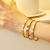 O1CN01CWDnT925wjPmLfoRG_3529117591-0-cib.jpg Stainless Steel Screw Zirconia Bangle 740186299752