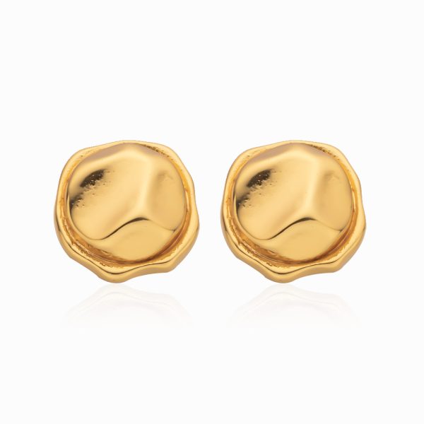 Stainless Steel Rose Earrings 893313993458