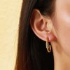 O1CN01Ka2Ve225wjO05Hu1u_3529117591-0-cib-3.jpg Stainless Steel Rhinestone Crescent Earrings 724369464612