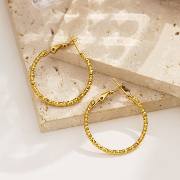 O1CN01PxwsdW25wjbr90YDF_3529117591-0-cib.jpg Stainless Steel Large Hoop Earrings 783219856886