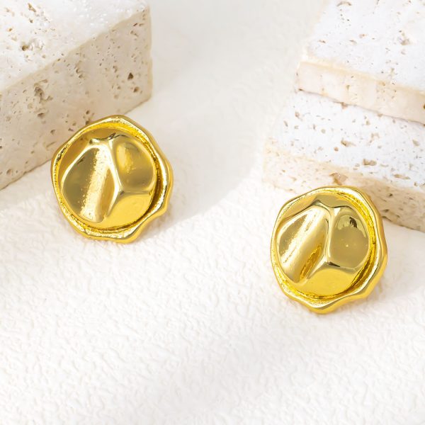 Stainless Steel Rose Earrings 893313993458