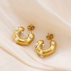 O1CN01VEA4s625wjOoBvdgW_3529117591-0-cib-3.jpg Stainless Steel Rhinestone Crescent Earrings 724369464612