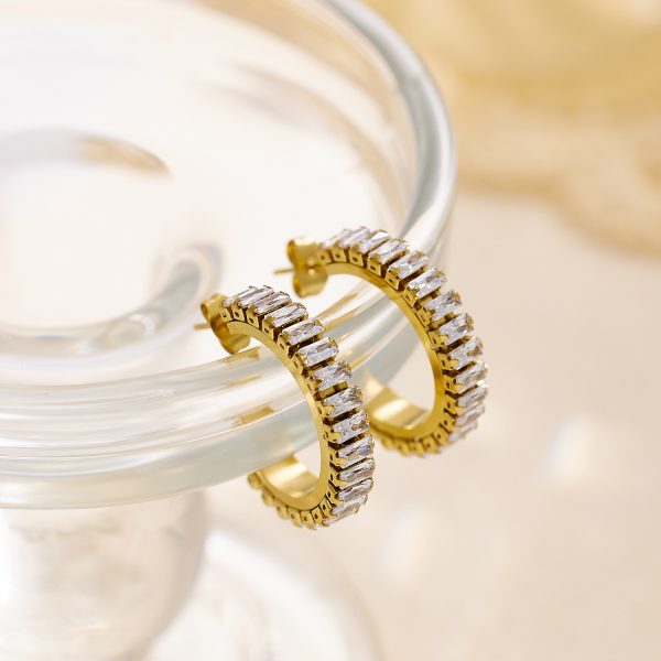 O1CN01W0nvHA25wjSLnIPvU_3529117591-0-cib.jpg Stainless Steel Curved Zirconia Earrings 764653590602