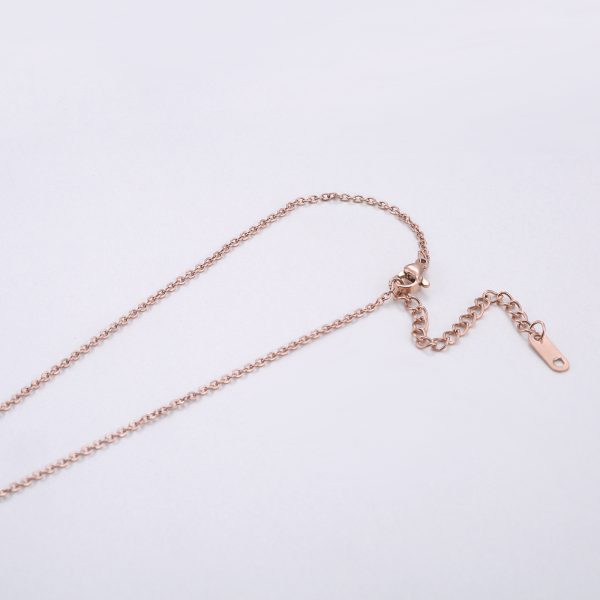 O1CN01blyyvz25wjC768JSe_3529117591-0-cib.jpg Stainless Steel Lucky Coin Necklace 637957966240