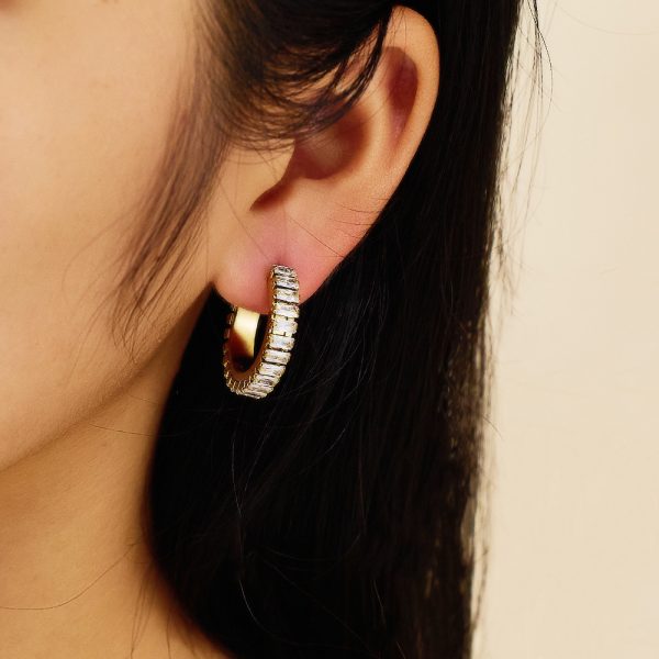 O1CN01ckMCkU25wjSJxeF5D_3529117591-0-cib.jpg Stainless Steel Curved Zirconia Earrings 764653590602