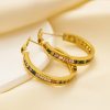 O1CN01f4H8vr25wjTOWEeVT_3529117591-0-cib.jpg Stainless Steel Pave Hoop Earrings 775721046650