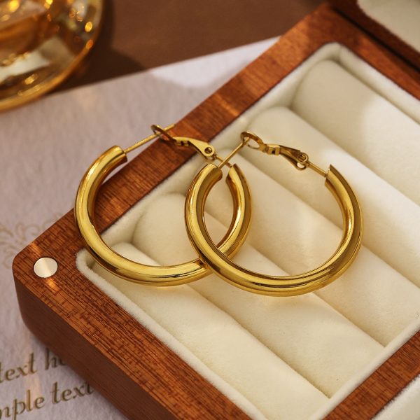 O1CN01hWSIXg25wjTM8Rk1N_3529117591-0-cib.jpg Stainless Steel Thin Hoop Earrings 775720246253