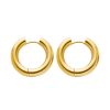 O1CN01v2FMit25wjSqMTHEC_3529117591-0-cib.jpg Stainless Steel Classic Hoop Earrings 770256759447
