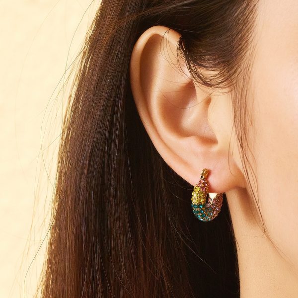 O1CN01y4MKfZ25wjNwQbEfz_3529117591-0-cib-3.jpg Stainless Steel Rhinestone Crescent Earrings 724369464612